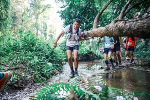 BIB: 
                            <button type="button" onclick="openModal(25454540)" class="btn btn-primary btn-sm float-right btn-popup" data-toggle="modal" data-target=".modal-high-quality">
                        <i class="fas fa-shopping-cart"></i> Add to Cart
                    </button>
                                            <button type="button" onclick="isThisMe(25454540, true)" class="btn btn-success btn-sm float-right btn-popup btn-isme hidden" data-toggle="tooltip" data-placement="bottom" title="นี่คือรูปของคุณใช่ไหม คลิกที่นี่เพื่อเอาเข้าอัลบั้ม">
                        <i class="fas fa-plus"></i> Add to album
                    </button>
                    <button type="button" onclick="isThisMe(25454540, false)" class="btn btn-warning btn-sm float-right btn-popup btn-isnotme hidden">
                        <i class="fas fa-ban"></i> Remove from album
                    </button>